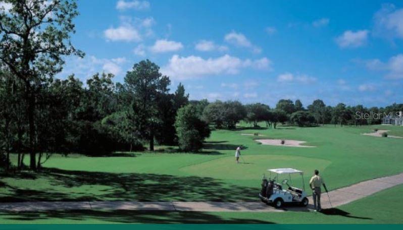 Image 33 of 33 For 10127 Tria Drive