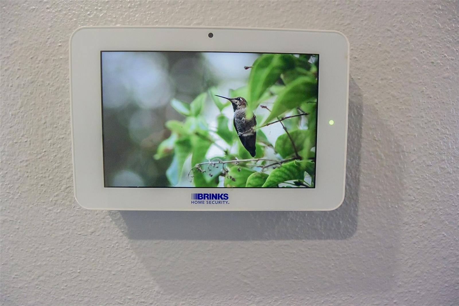 Image 47 of 79 For 6936 Bradbury Circle