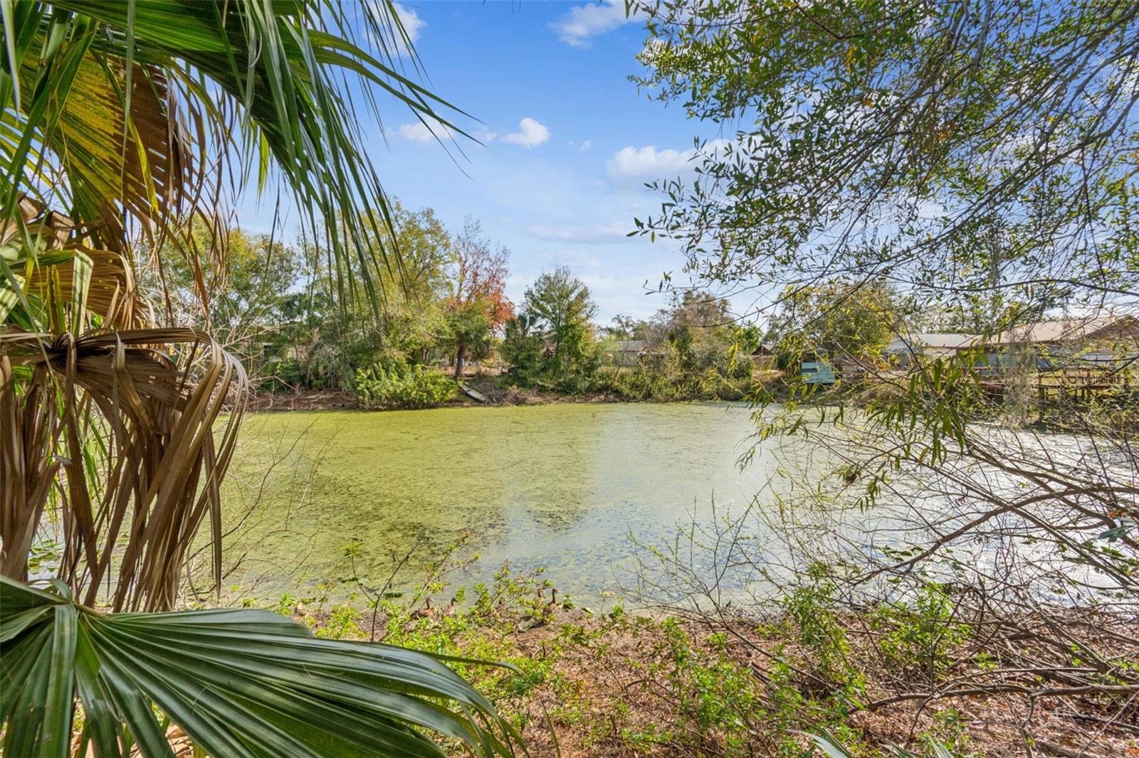 Image 89 of 96 For 1930 Gregory Drive