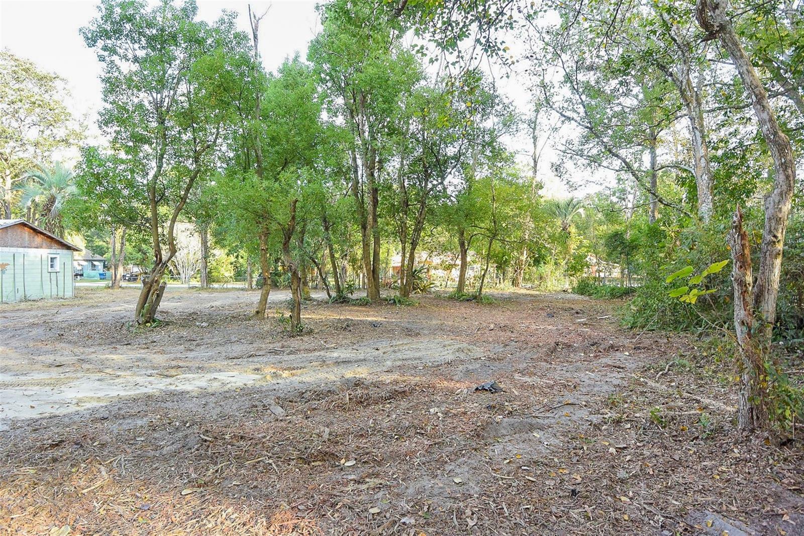 Image 15 of 29 For 343 Lincoln Avenue