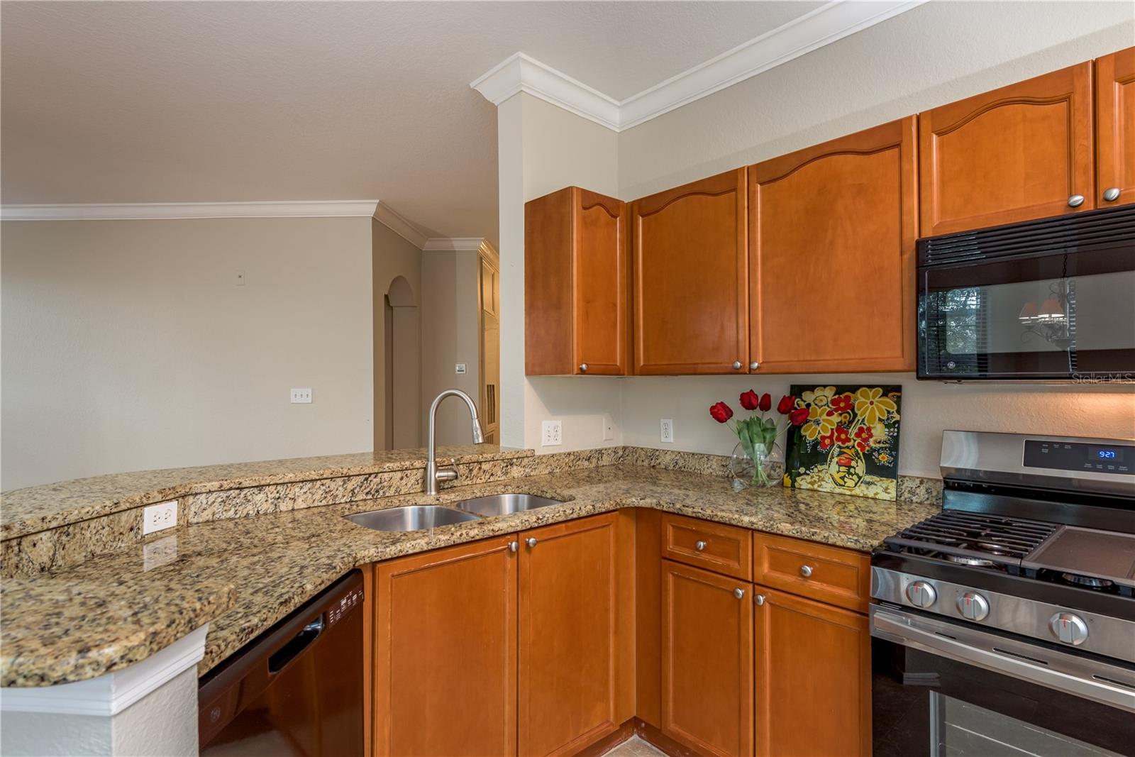 Image 14 of 55 For 2730 Via Tivoli  320b