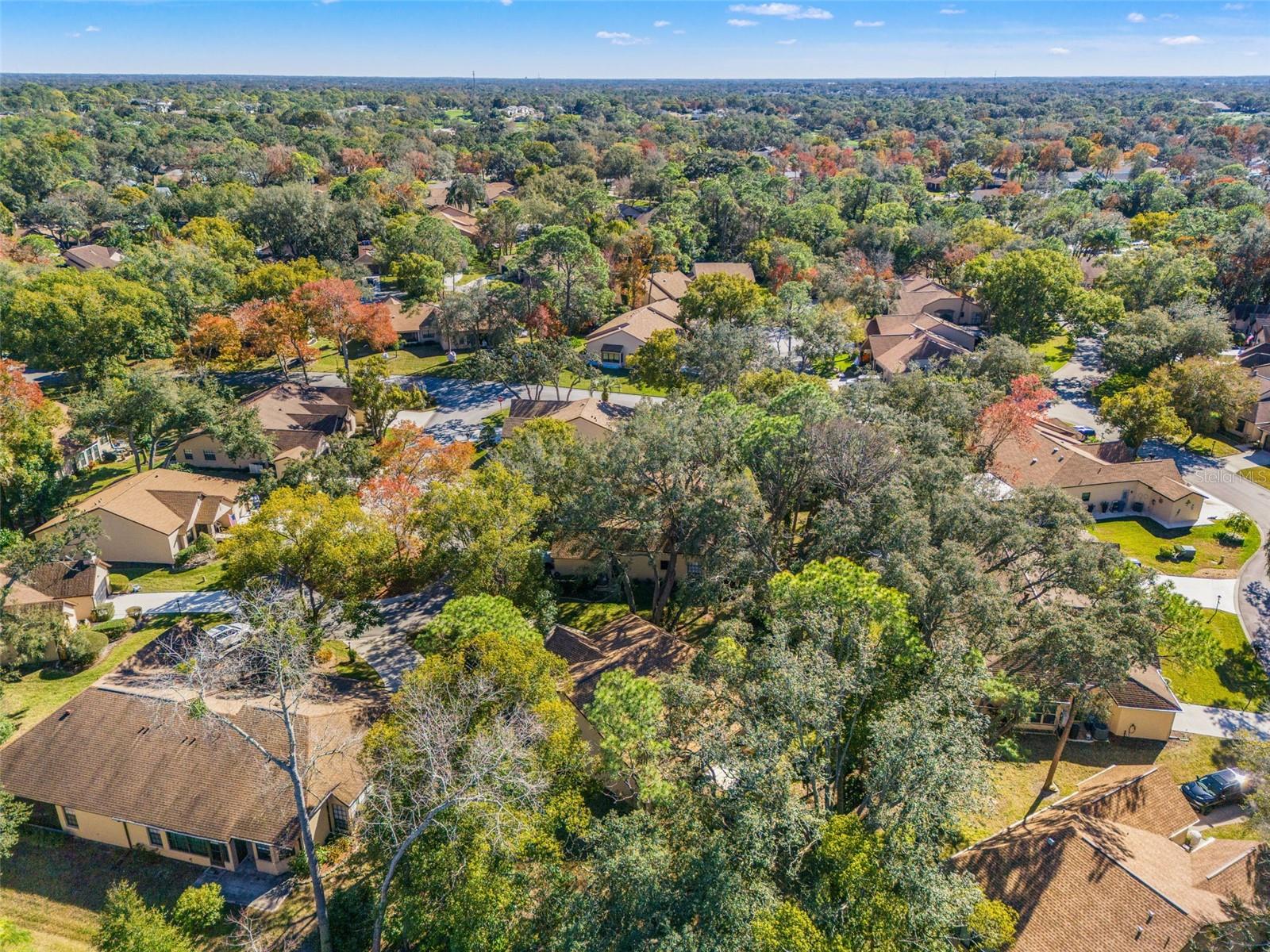 Image 43 of 64 For 6665 Water Oak Court