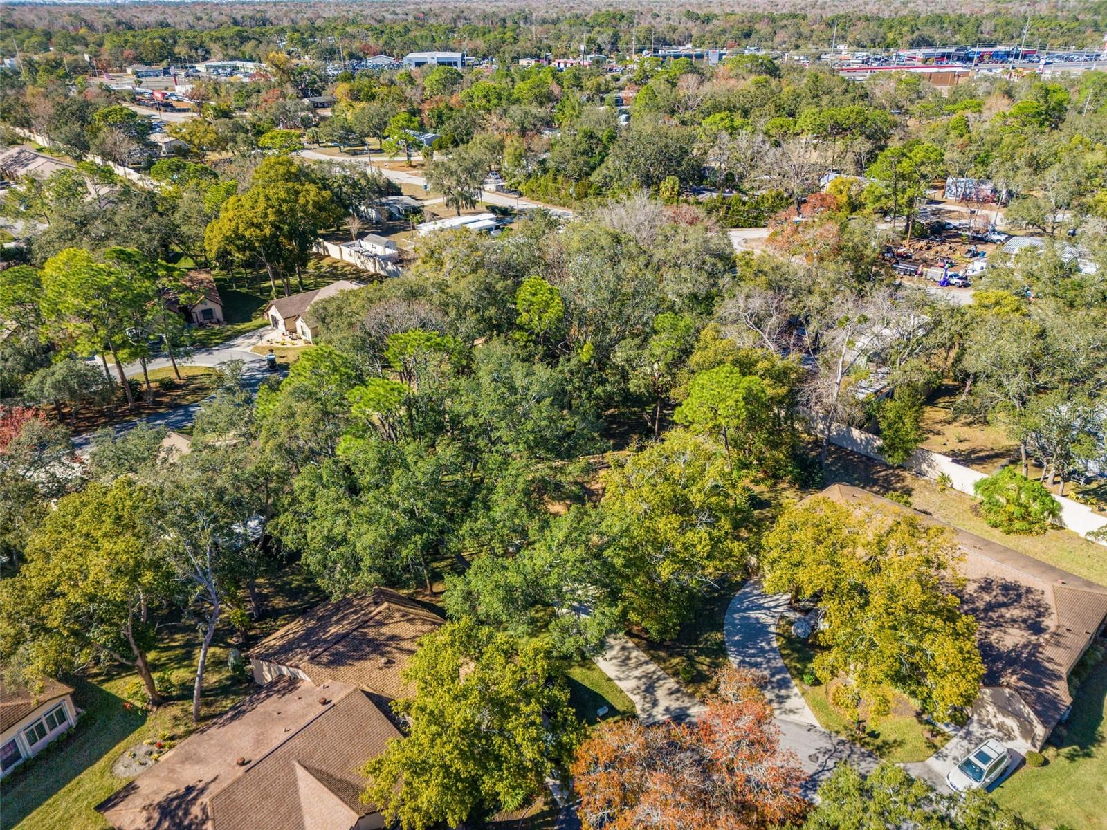 Image 46 of 64 For 6665 Water Oak Court