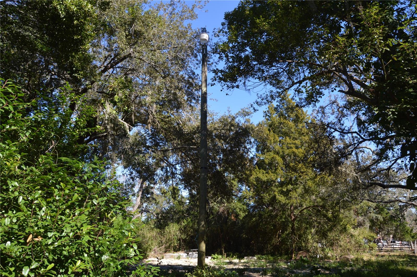 Image 10 of 22 For 18117 Branch Road