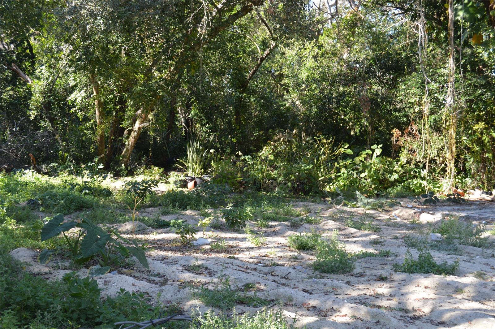 Image 11 of 22 For 18117 Branch Road