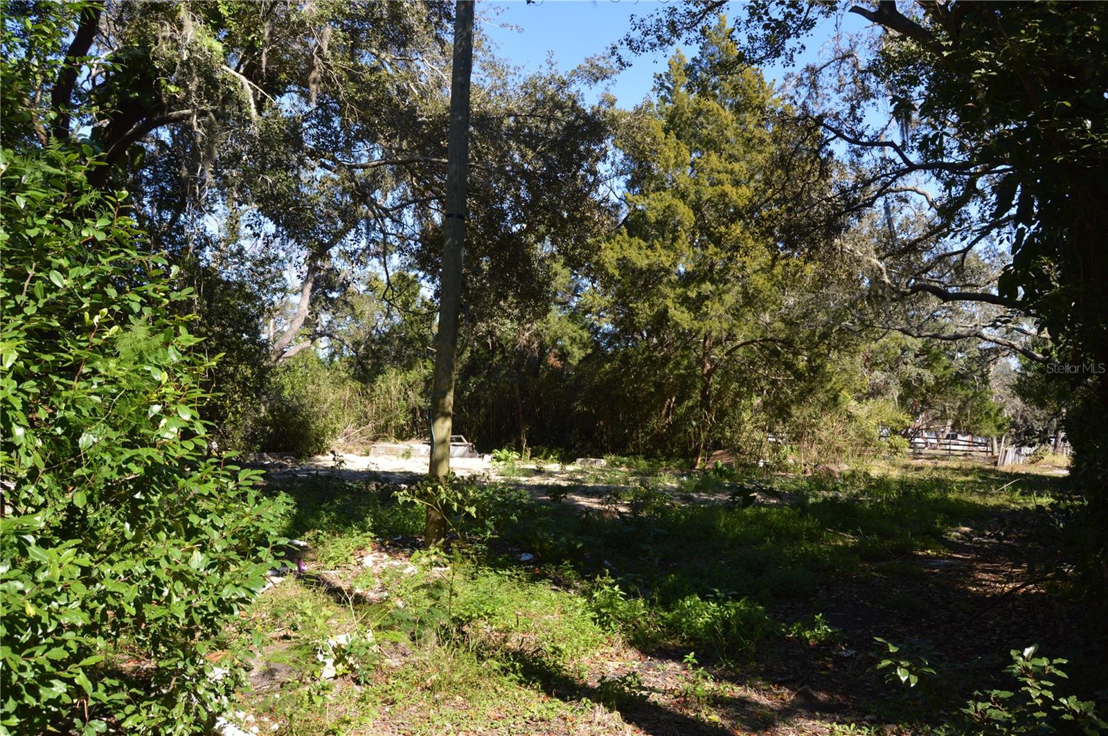 Image 18 of 22 For 18117 Branch Road