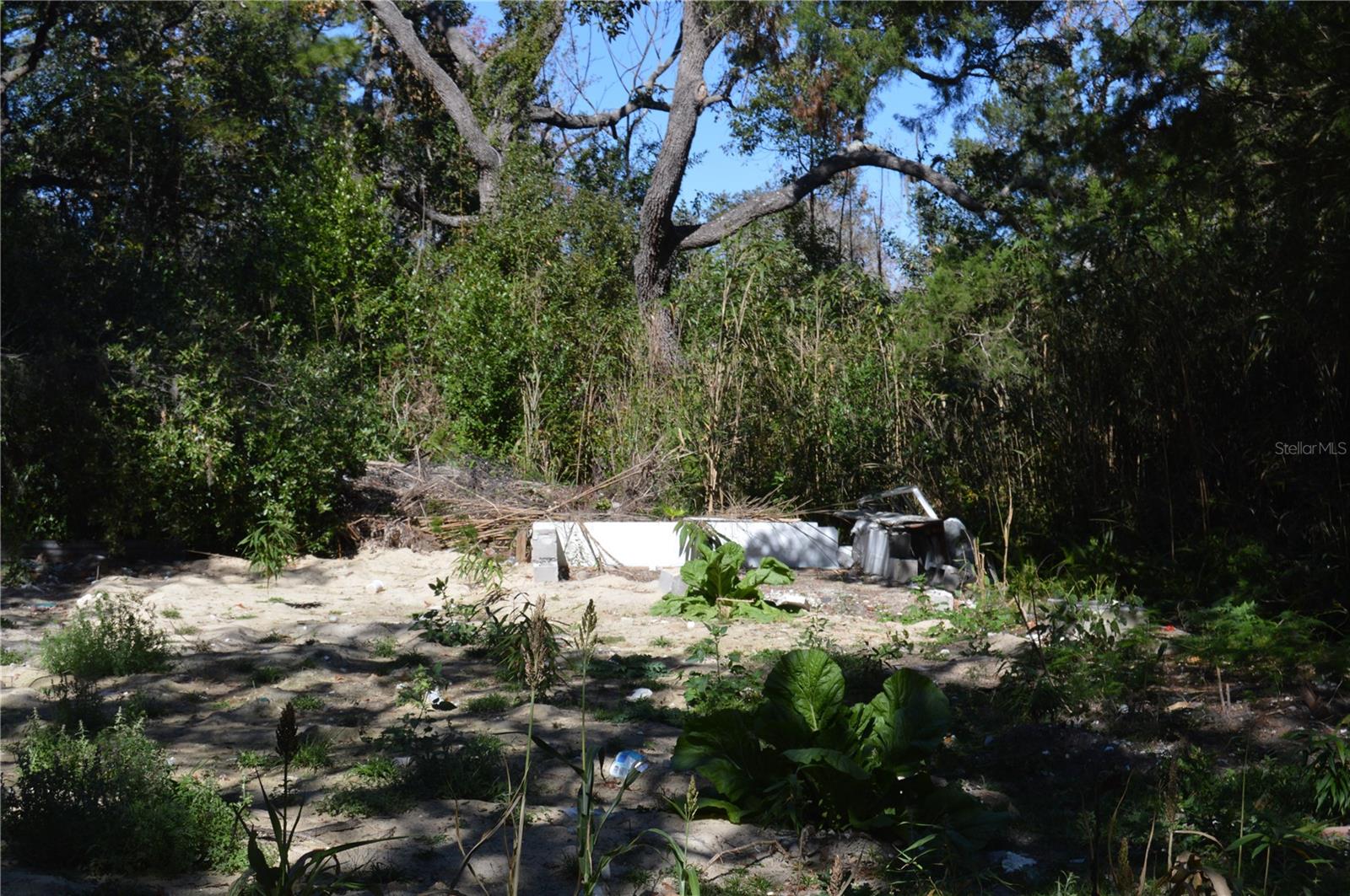 Image 5 of 22 For 18117 Branch Road