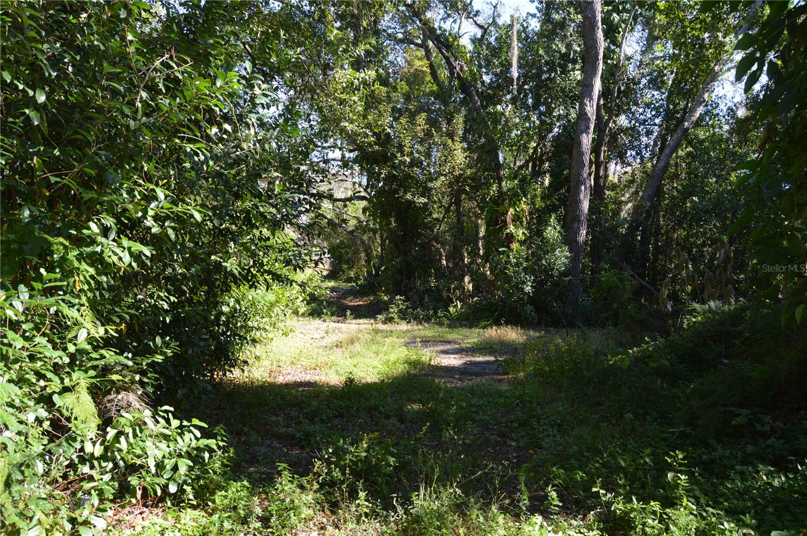 Image 6 of 22 For 18117 Branch Road