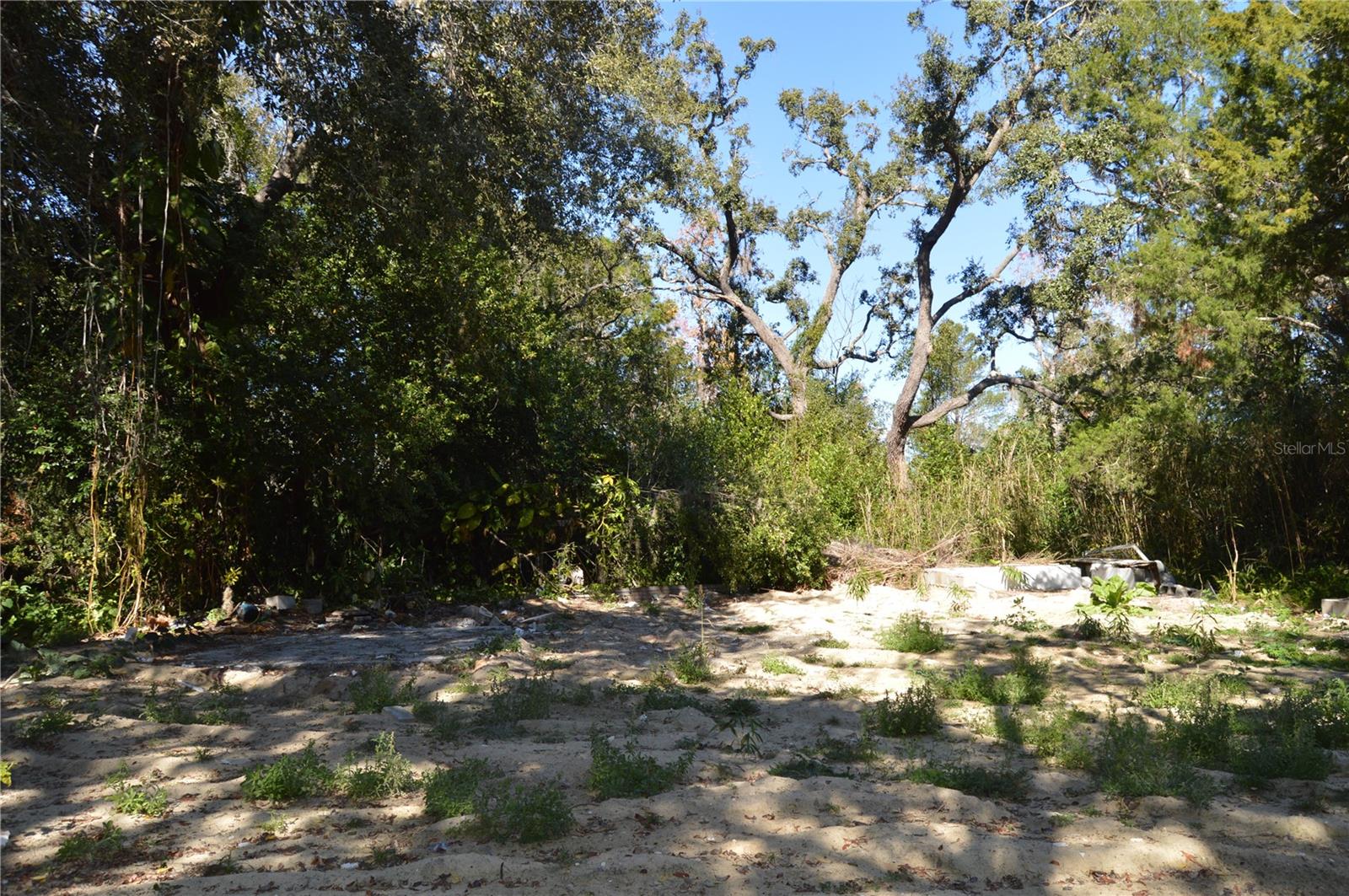 Image 7 of 22 For 18117 Branch Road