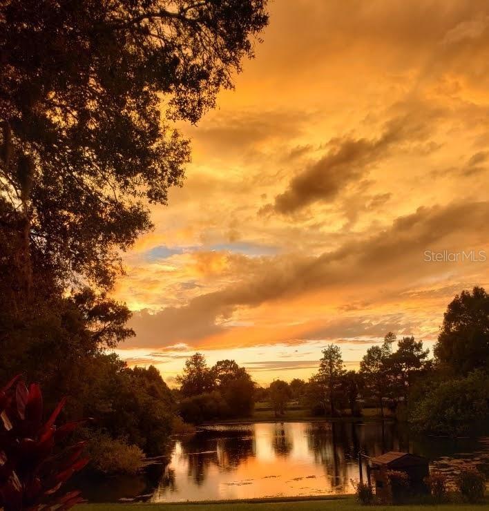 Details for 7737 Eureka Drive 203, HUDSON, FL 34667