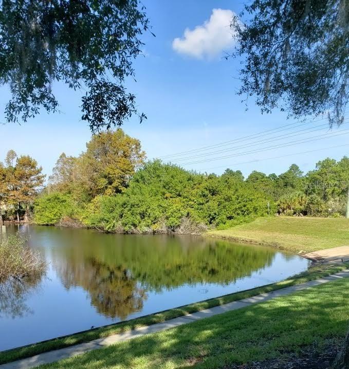 Image 20 of 24 For 7737 Eureka Drive 203