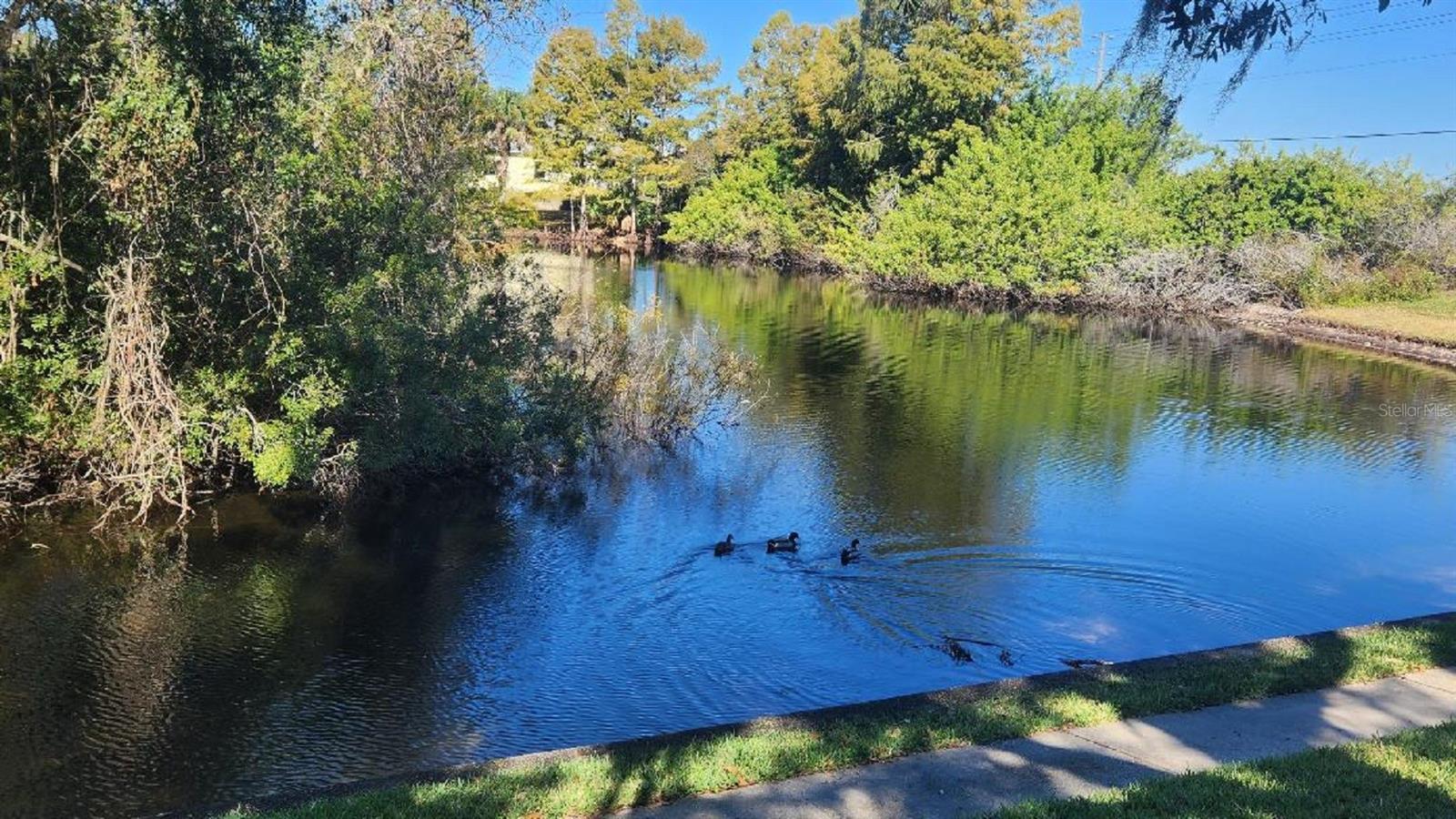 Image 22 of 24 For 7737 Eureka Drive 203