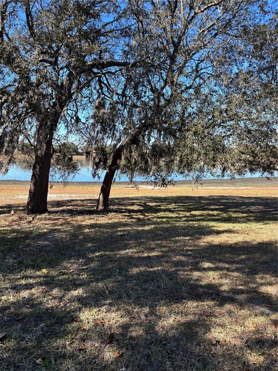 Image 13 of 17 For 13719 Eastfork Lane