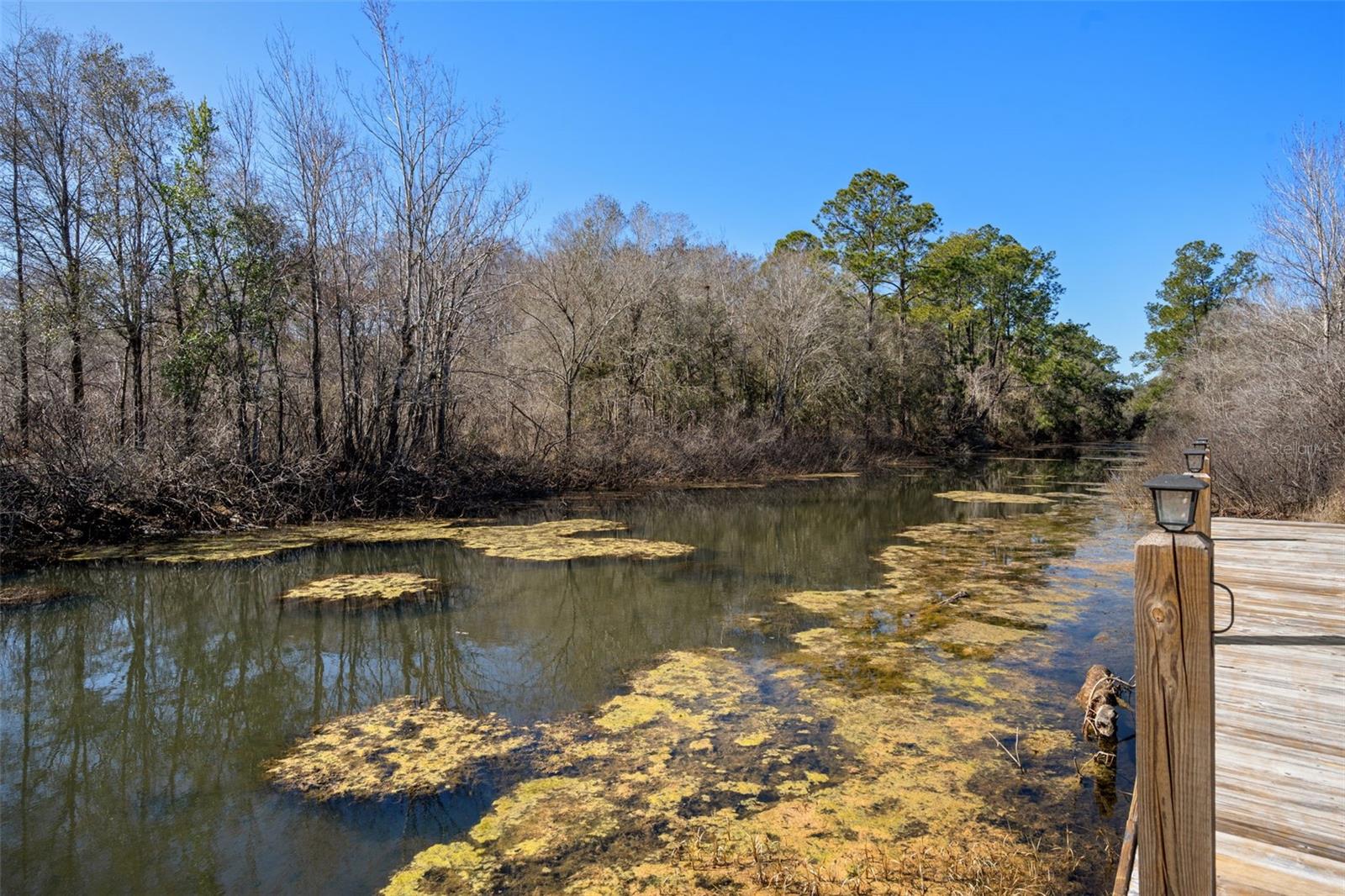 Image 73 of 86 For 7235 Canal Street