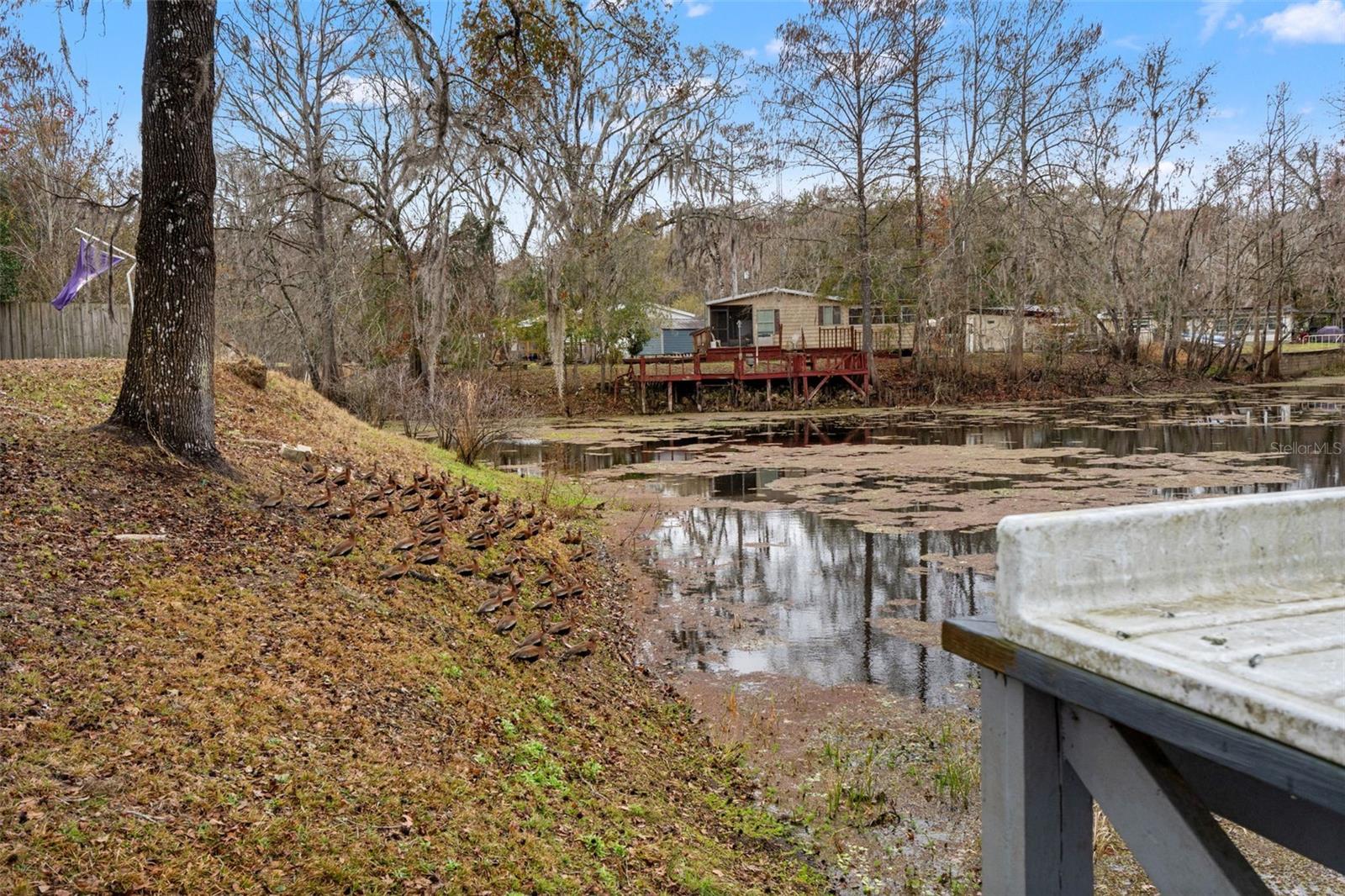 Image 31 of 34 For 7154 Co Rd 651