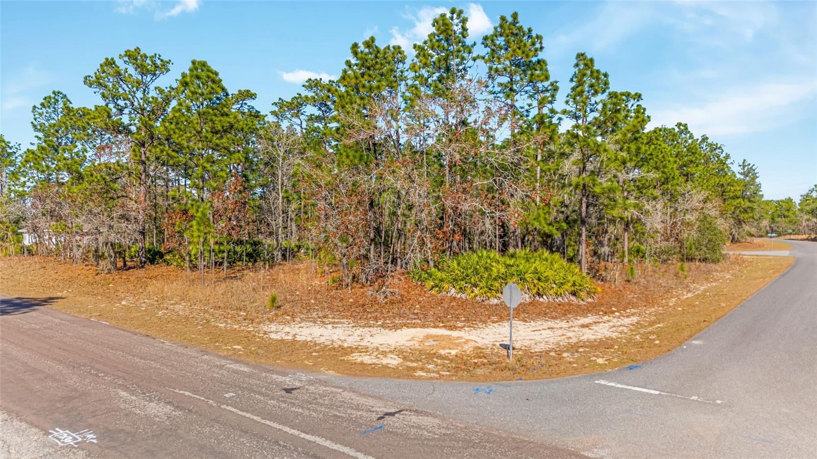 Image 4 of 15 For 6932 Glenridge Circle