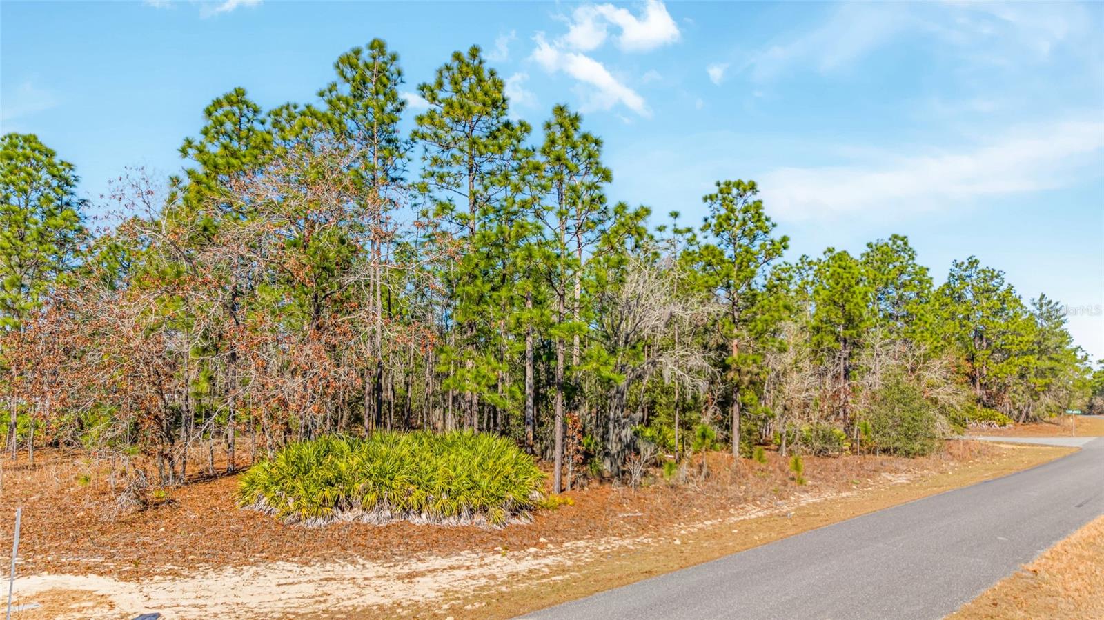 Image 6 of 15 For 6932 Glenridge Circle