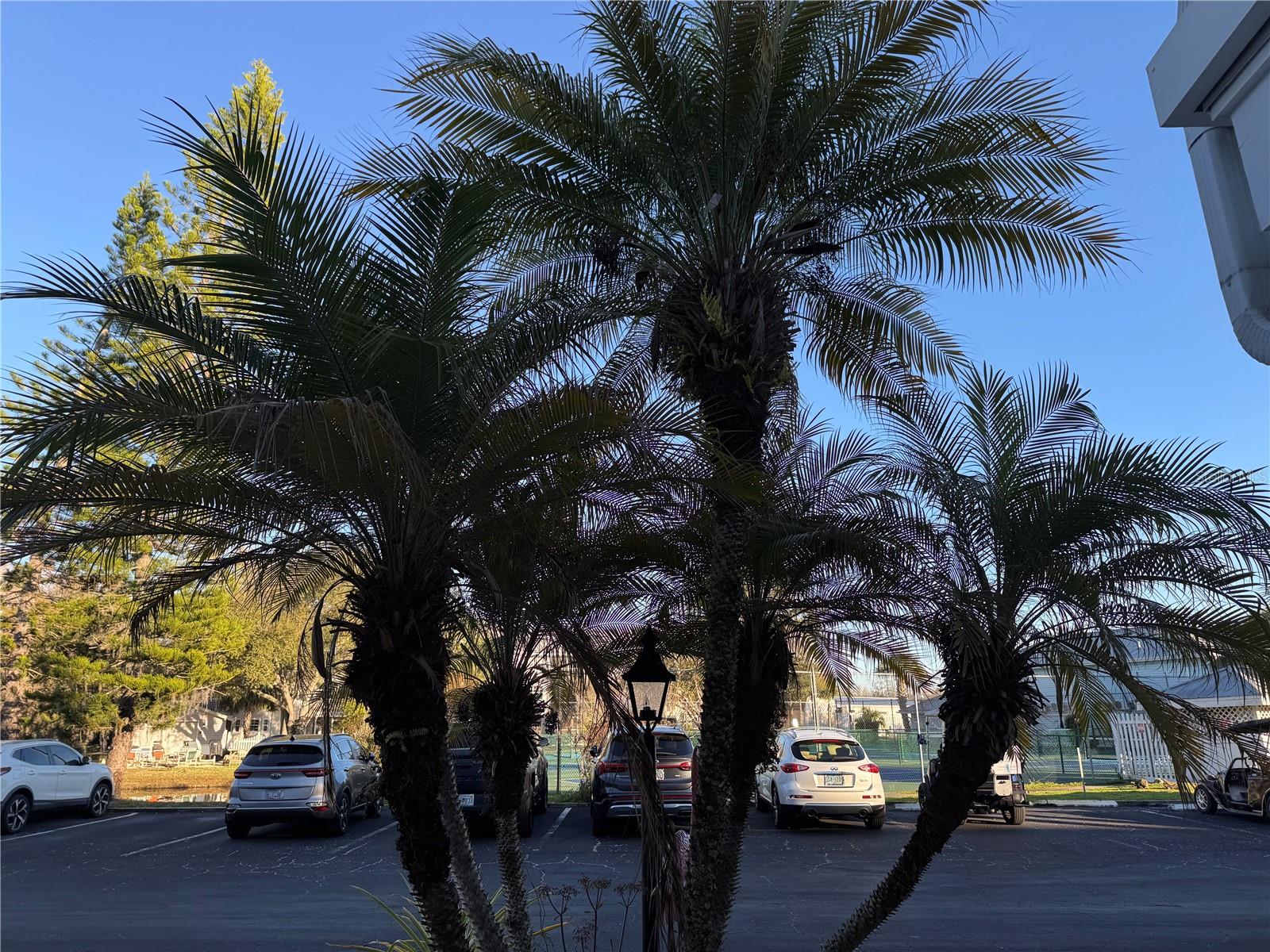 Image 2 of 18 For 2111 Vista Del Sol Circle 403