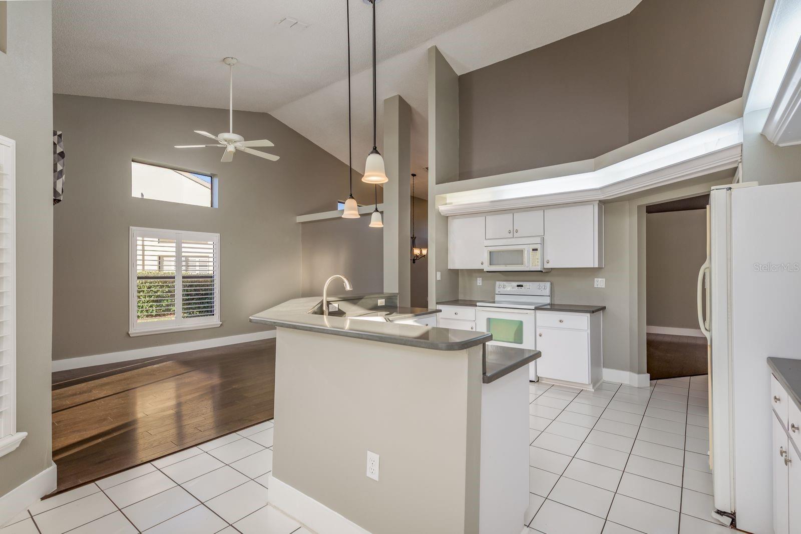 Image 12 of 38 For 9326 Palm Haven Court