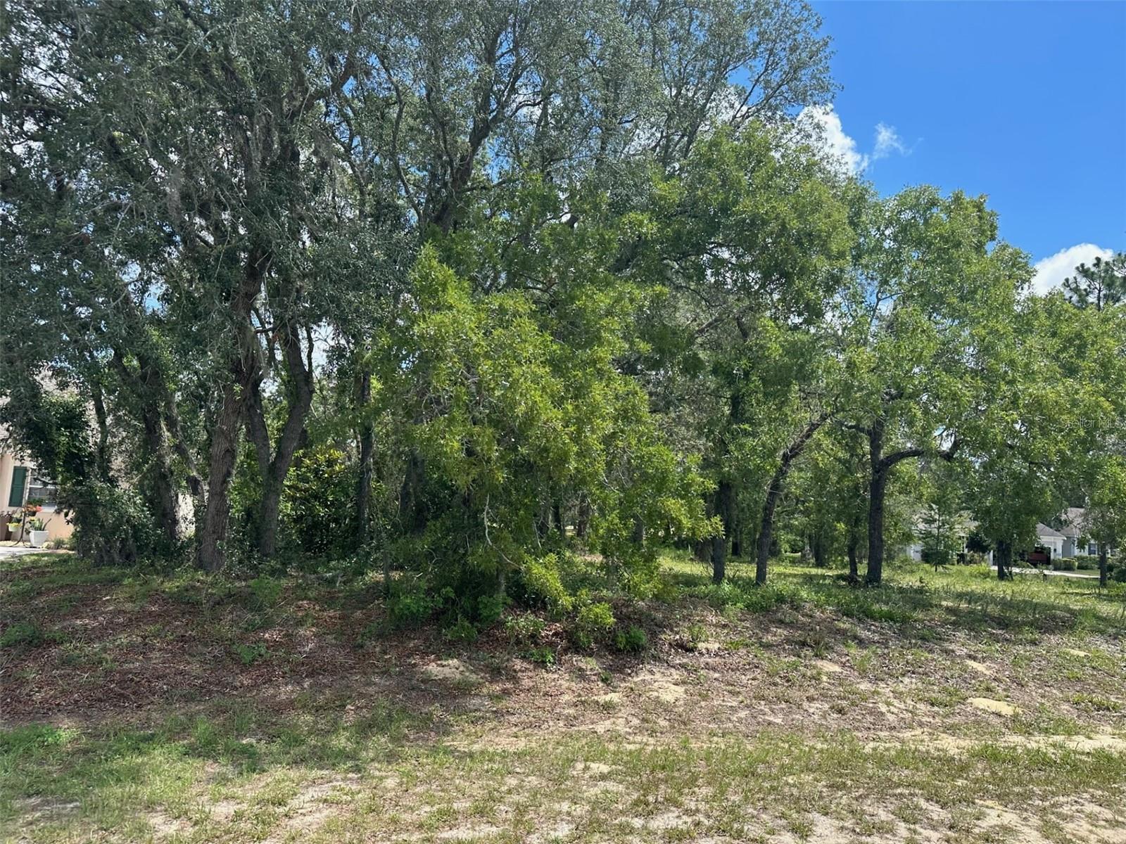 Image 5 of 7 For 13 Deerwood Drive