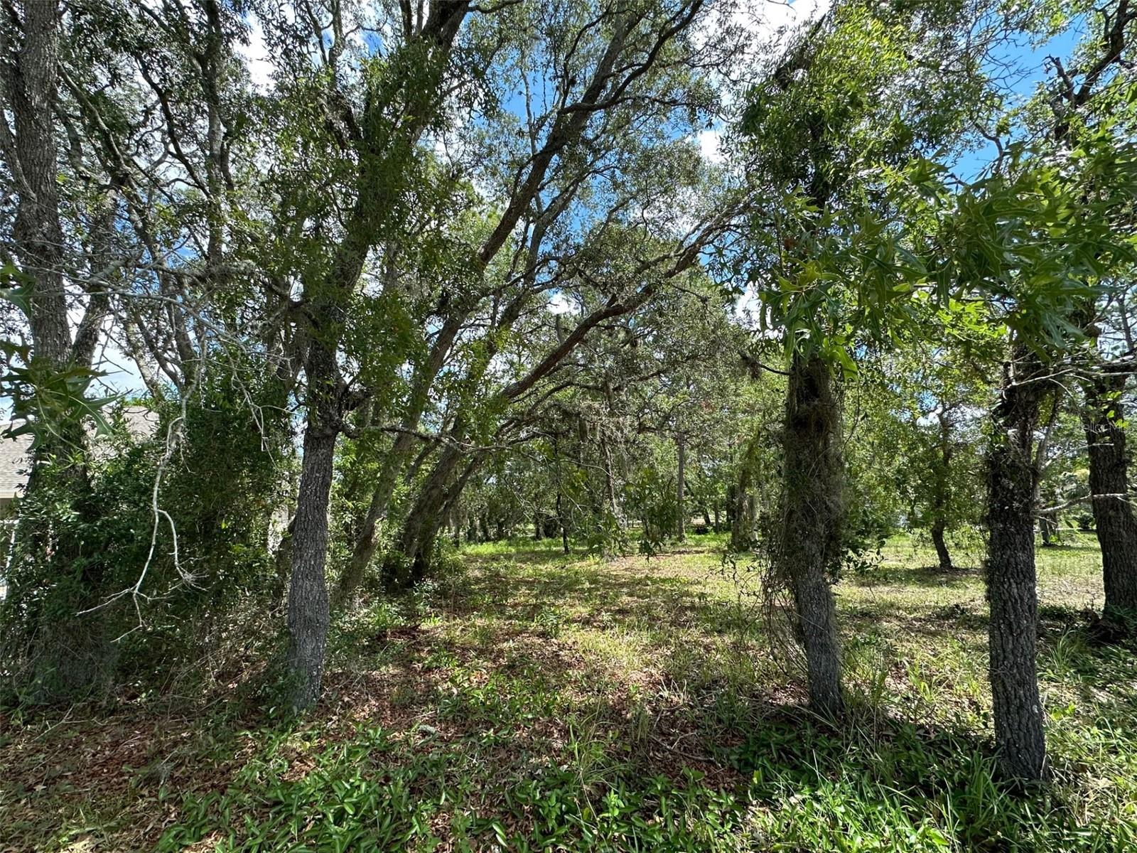 Image 7 of 7 For 13 Deerwood Drive