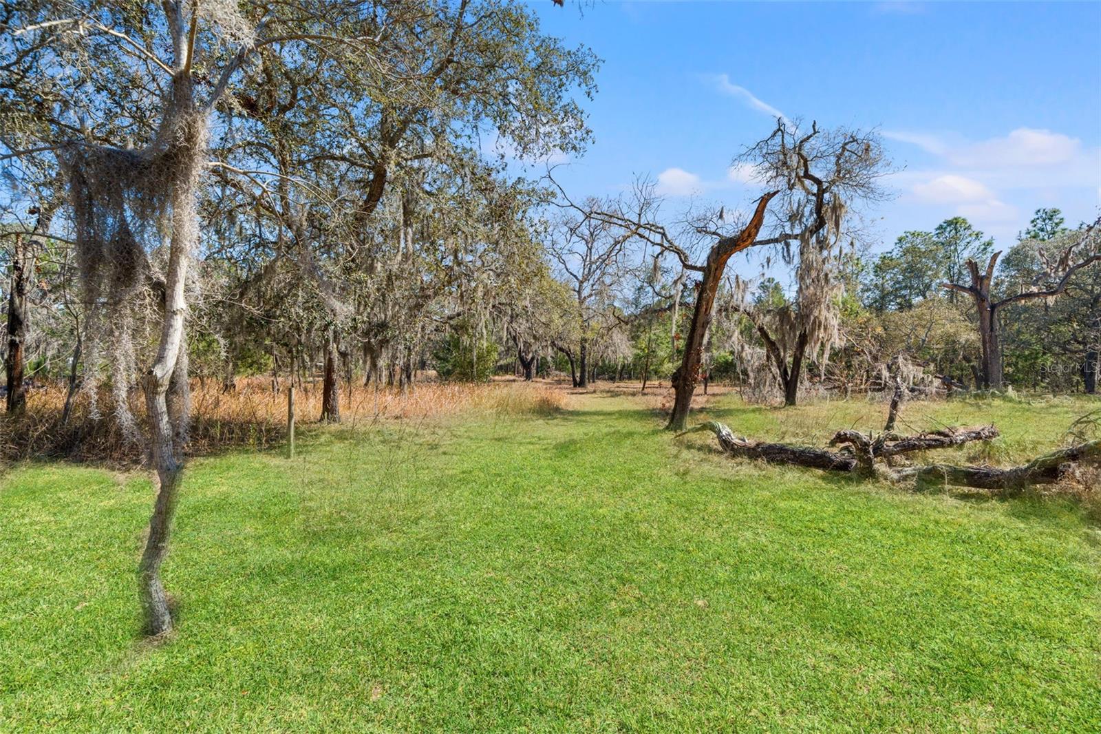 Image 48 of 78 For 12222 Beagle Road