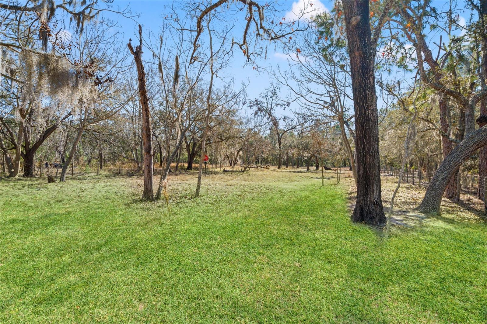 Image 50 of 78 For 12222 Beagle Road