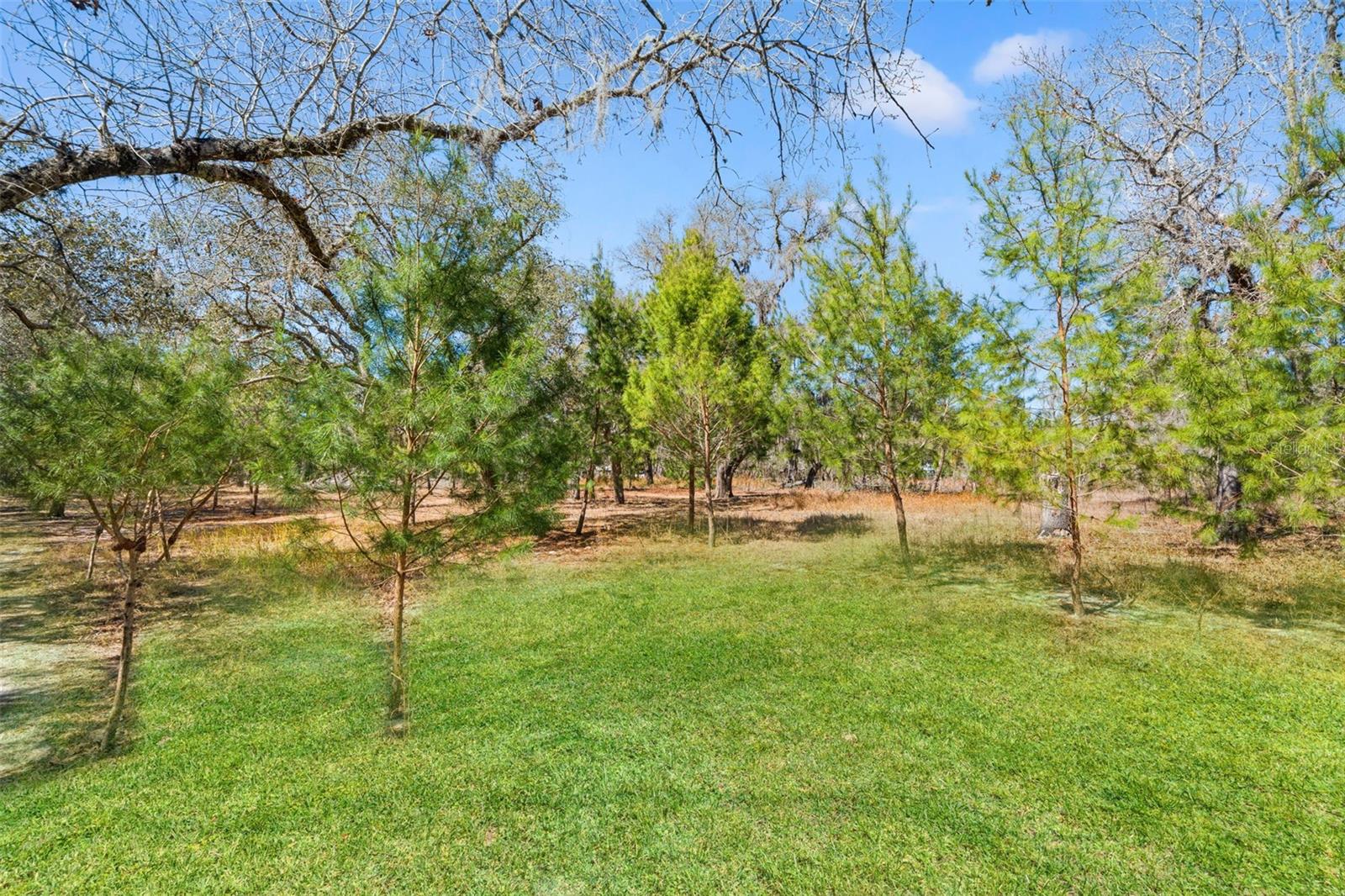 Image 56 of 78 For 12222 Beagle Road