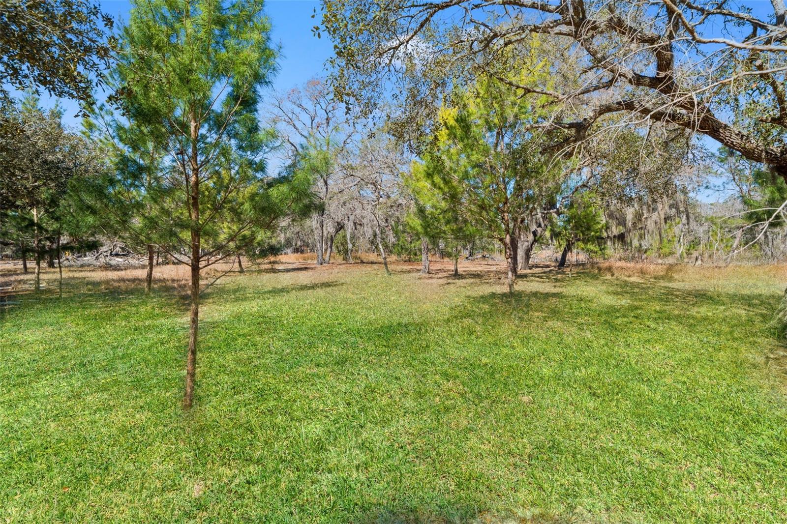 Image 61 of 78 For 12222 Beagle Road