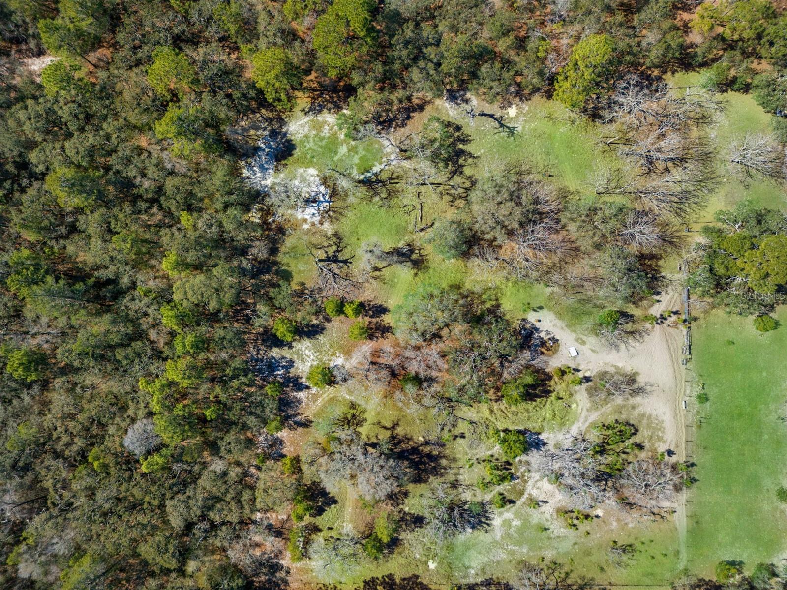 Image 73 of 78 For 12222 Beagle Road