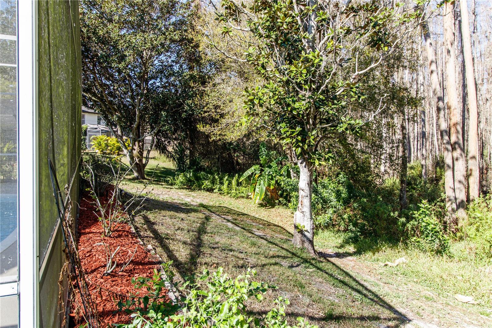 Image 29 of 31 For 9407 Calle Alta