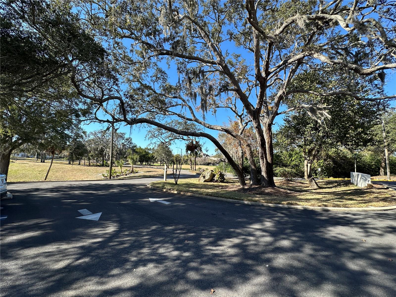 Image 50 of 55 For 8205 Valley Stream Lane