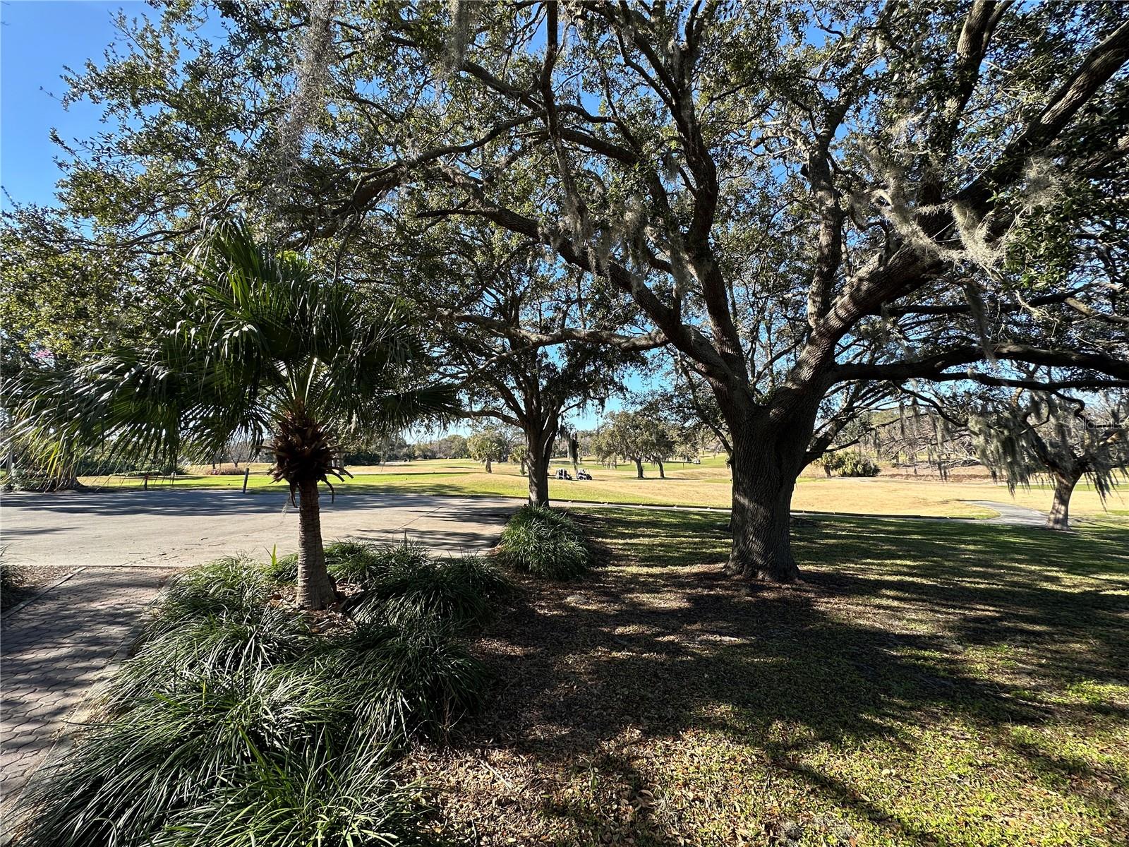 Image 53 of 55 For 8205 Valley Stream Lane