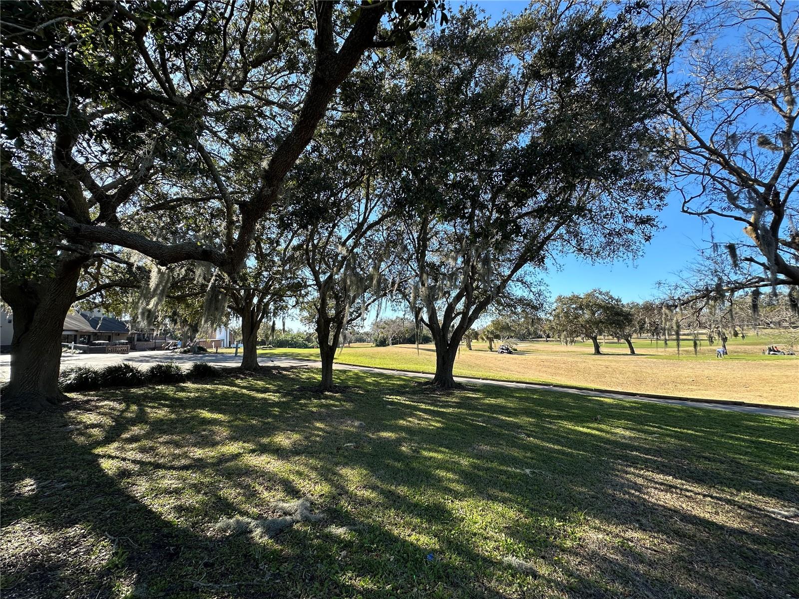 Image 54 of 55 For 8205 Valley Stream Lane