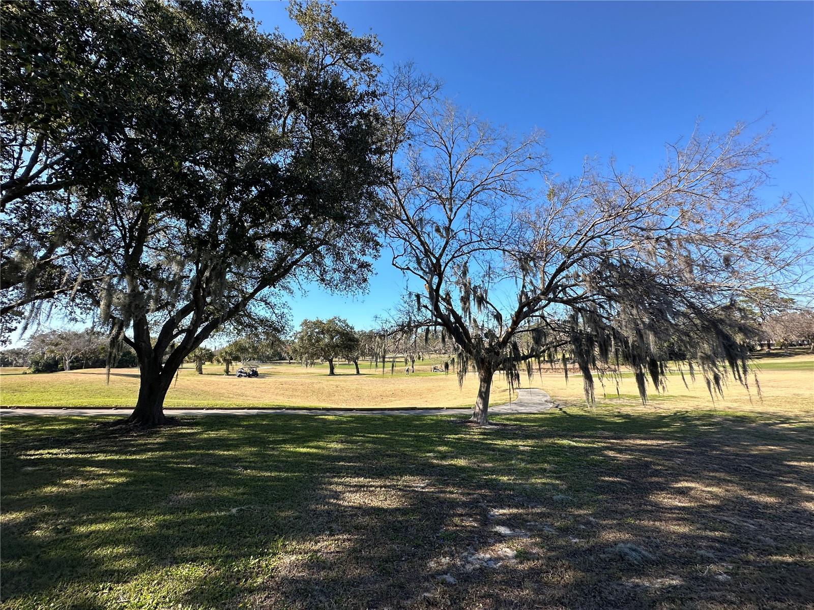 Image 55 of 55 For 8205 Valley Stream Lane