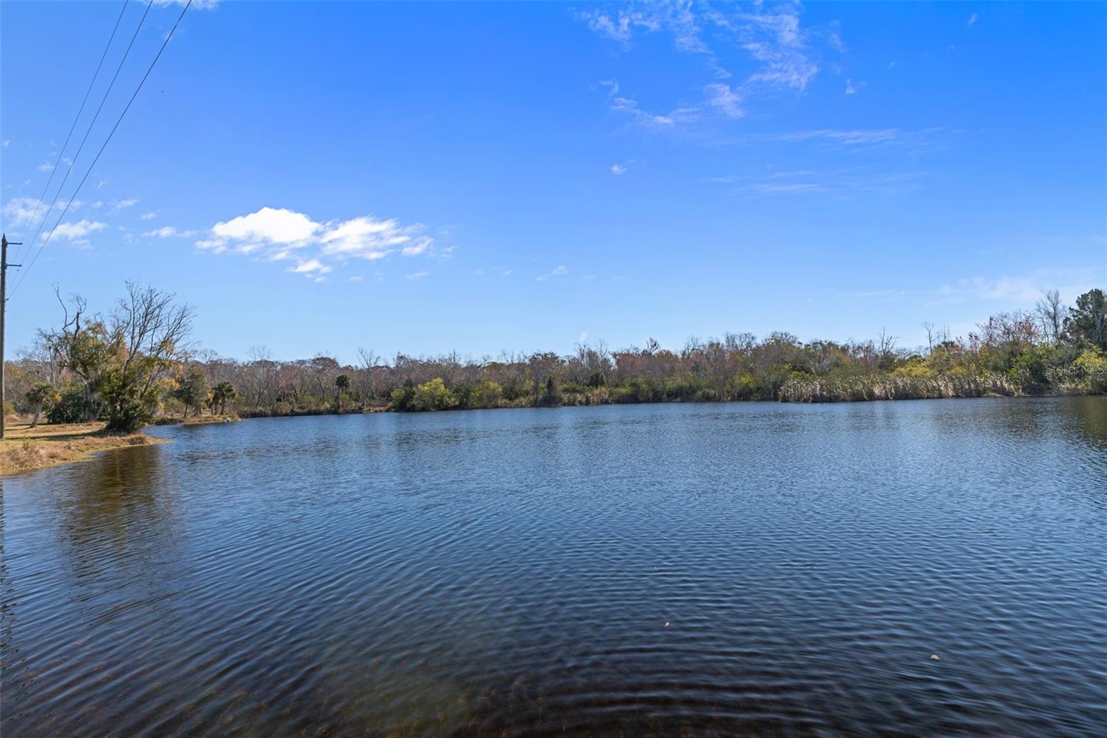 Listing photo id 76 for 8301 Congress Street