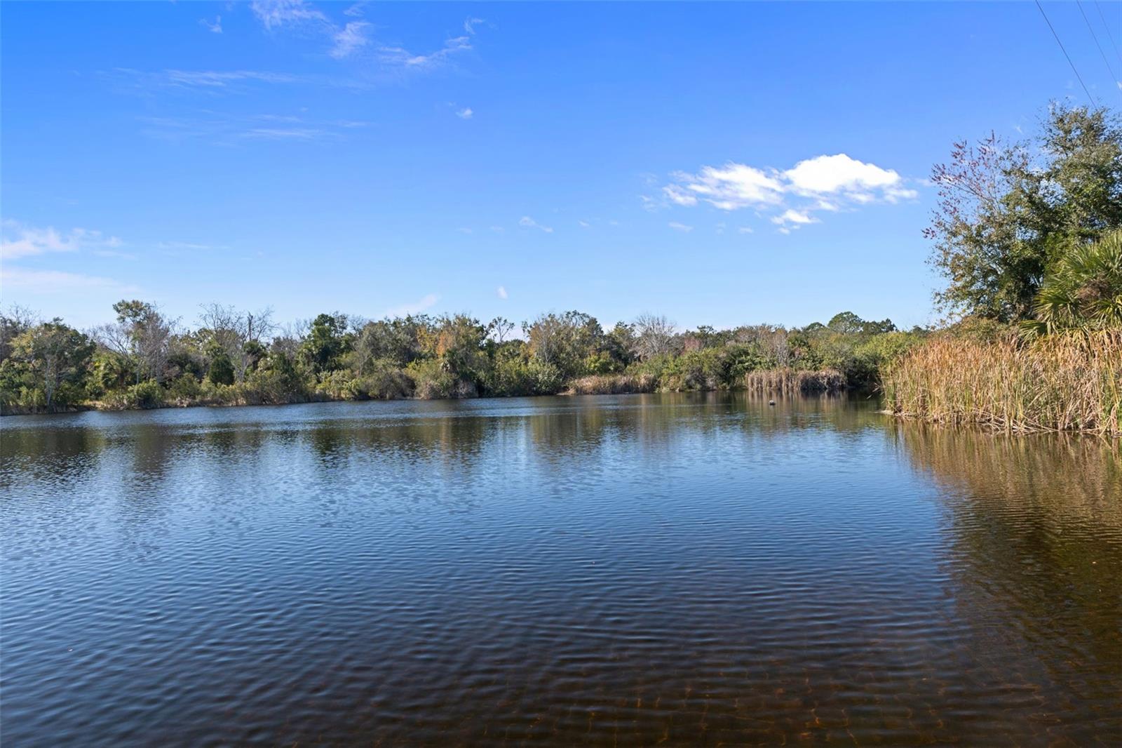 Listing photo id 77 for 8301 Congress Street