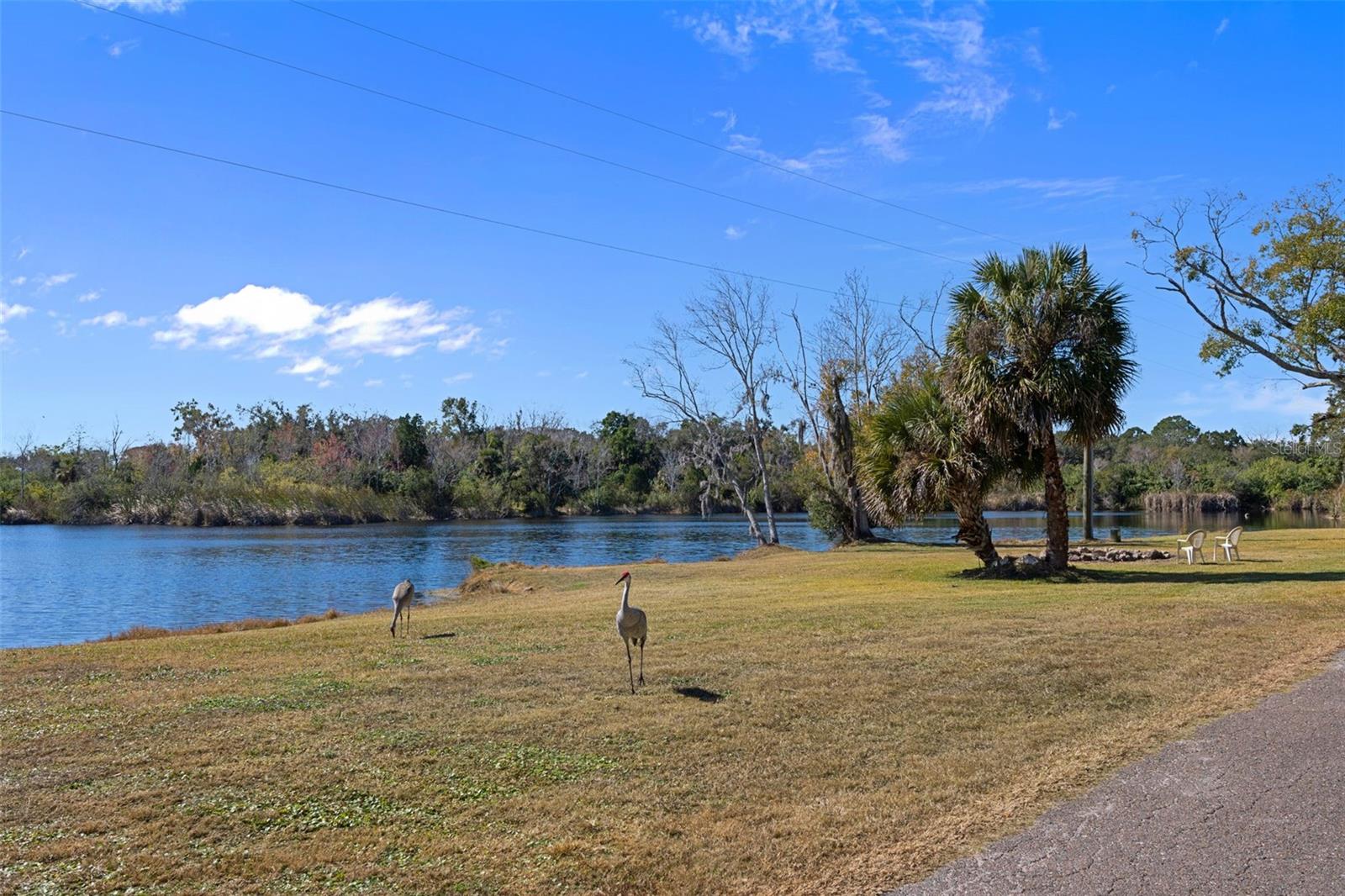 Listing photo id 82 for 8301 Congress Street