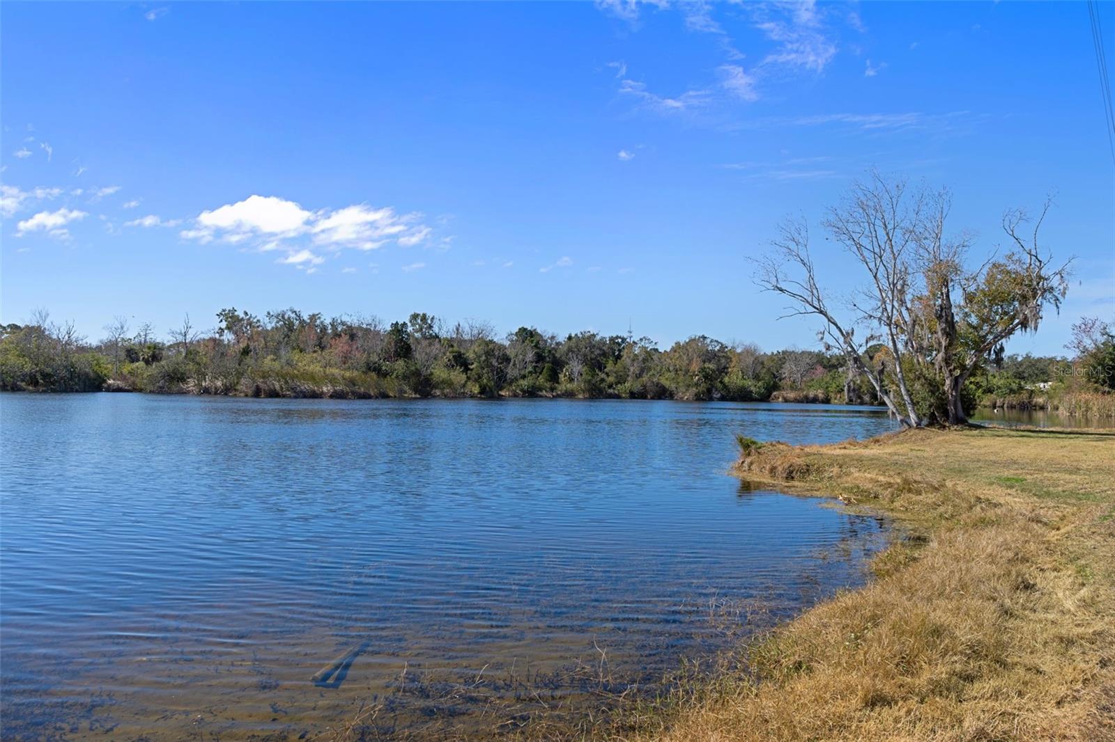 Listing photo id 83 for 8301 Congress Street