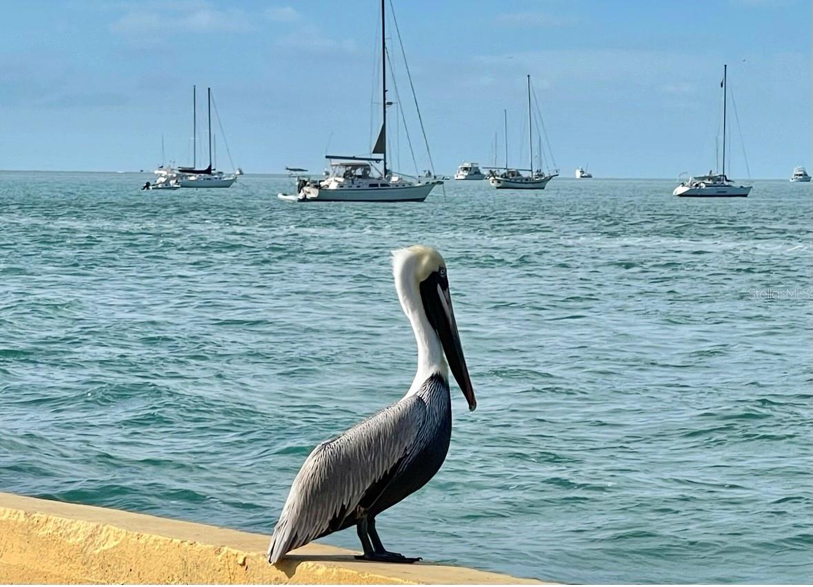 Image 46 of 48 For 1119 Simonton Street A1, A2, C1