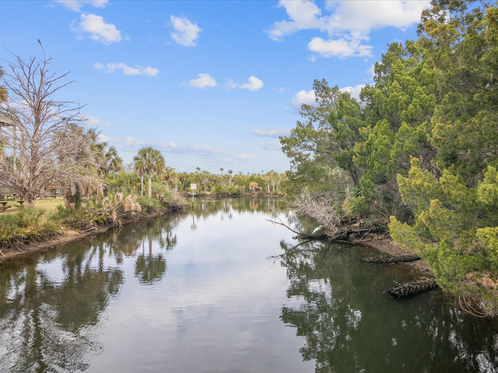 Image 74 of 96 For 4290 Carlos Court