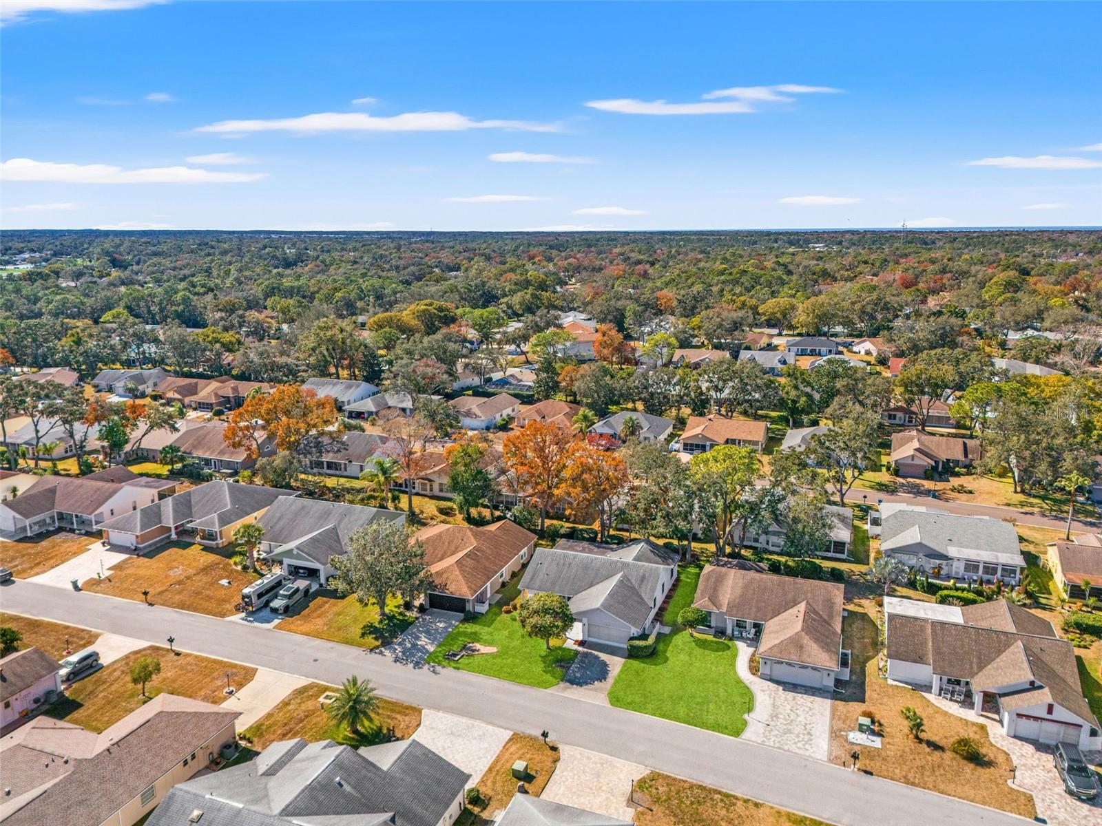 Image 50 of 69 For 3119 Saw Mill Lane