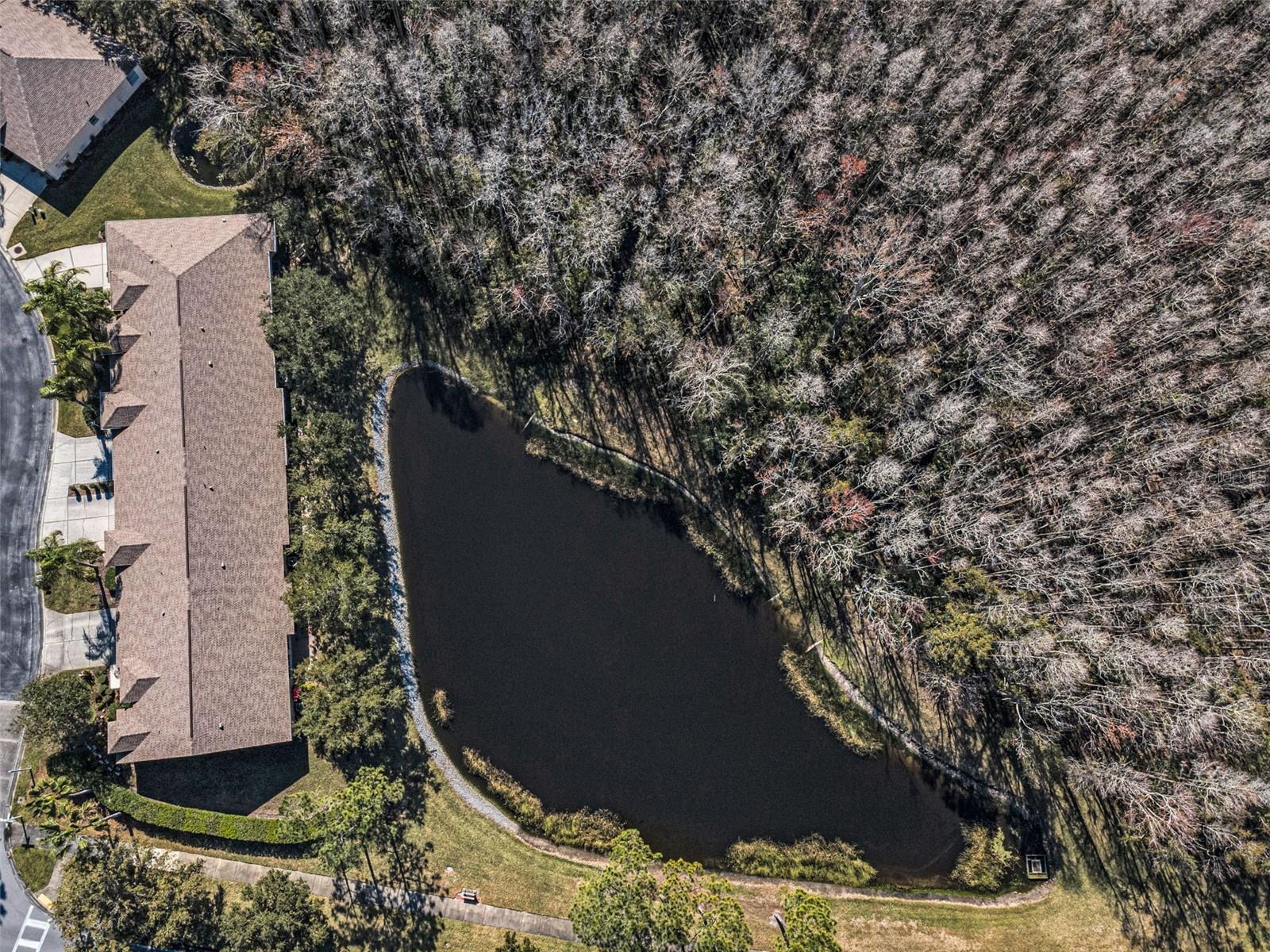 Image 35 of 100 For 1549 Arlington Oaks Court