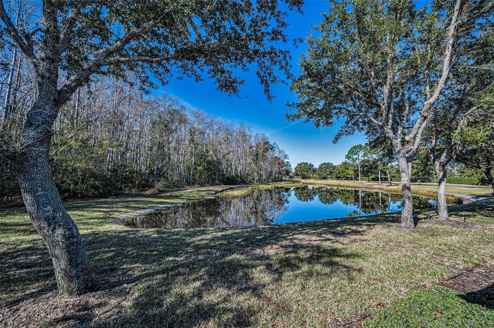 Image 36 of 100 For 1549 Arlington Oaks Court