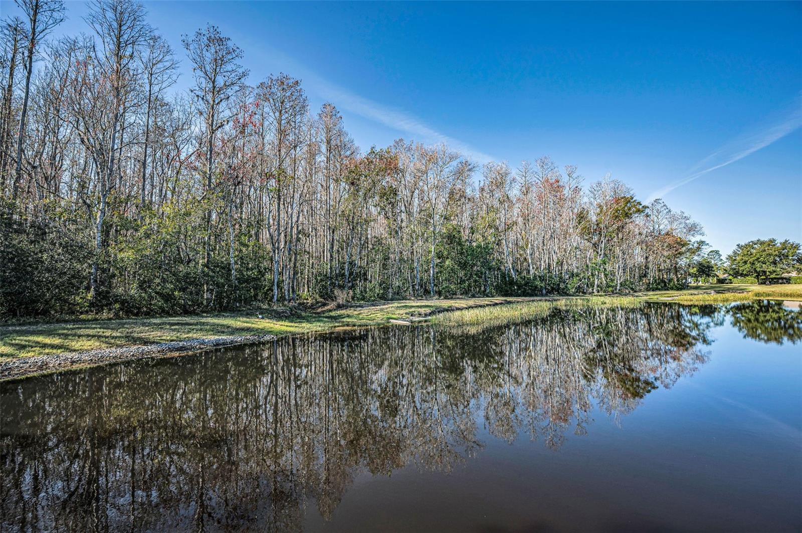 Image 39 of 100 For 1549 Arlington Oaks Court