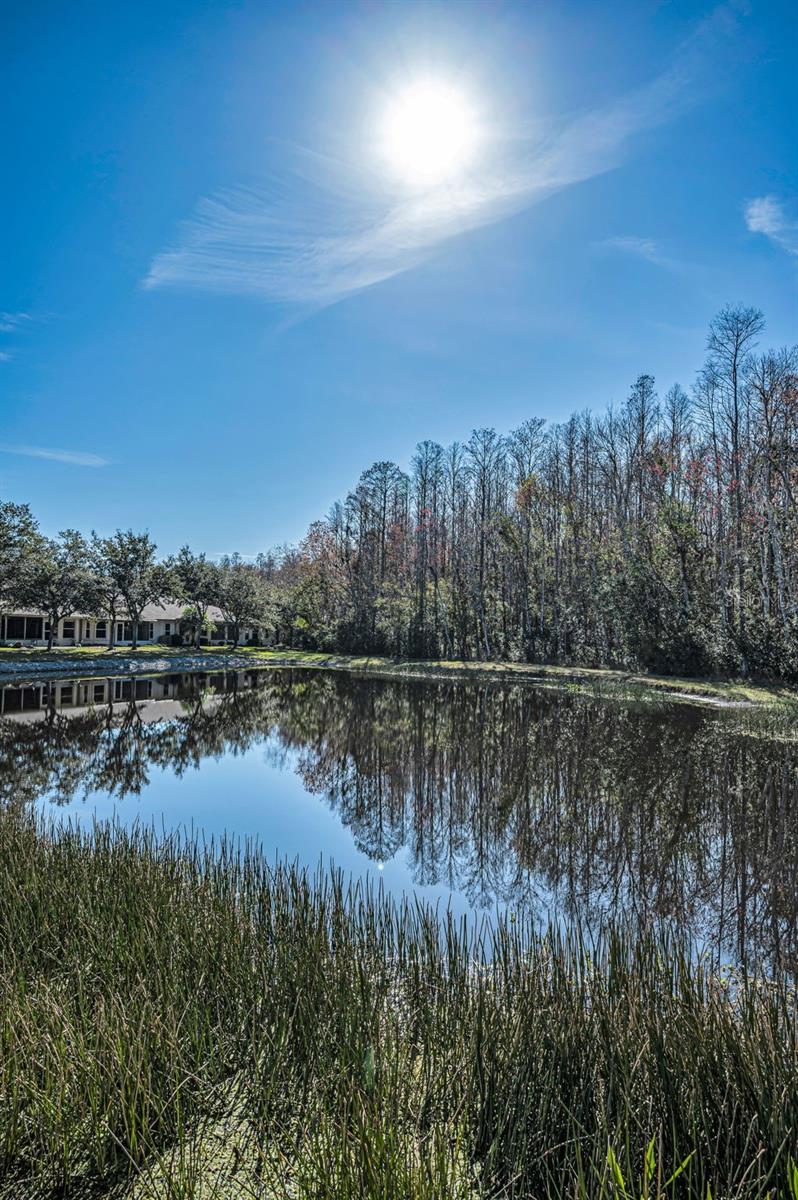 Image 48 of 100 For 1549 Arlington Oaks Court