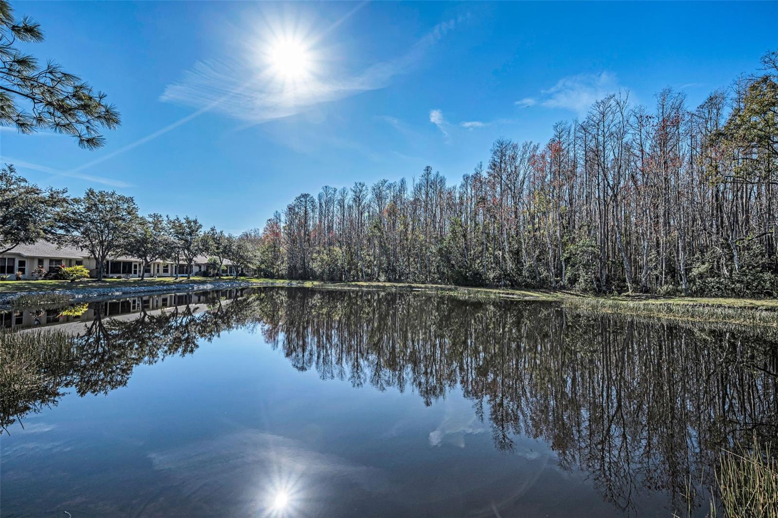 Image 50 of 100 For 1549 Arlington Oaks Court