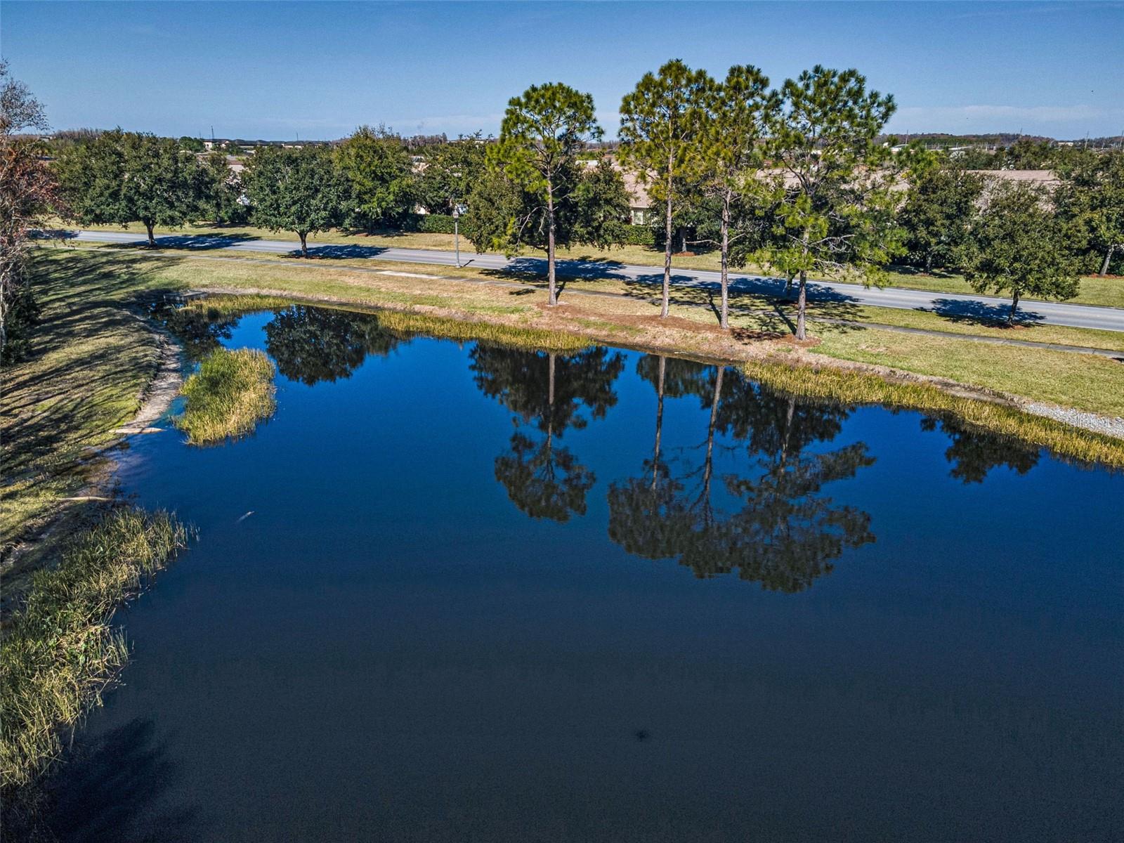 Image 51 of 100 For 1549 Arlington Oaks Court