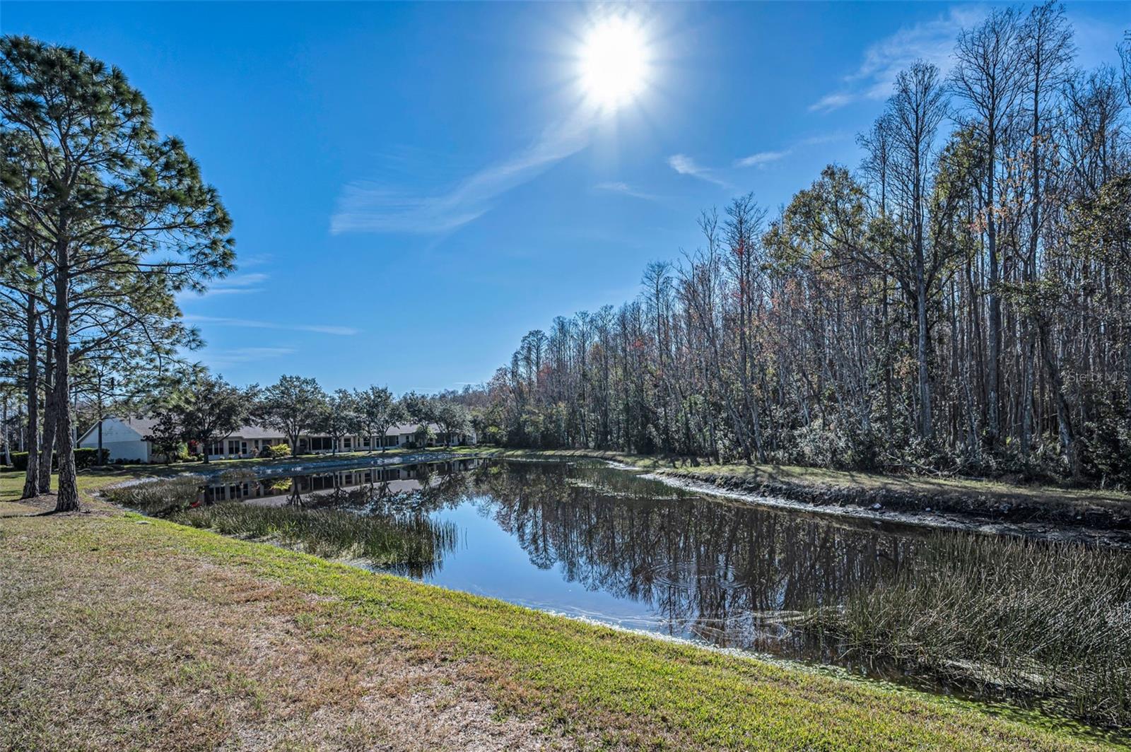 Image 52 of 100 For 1549 Arlington Oaks Court