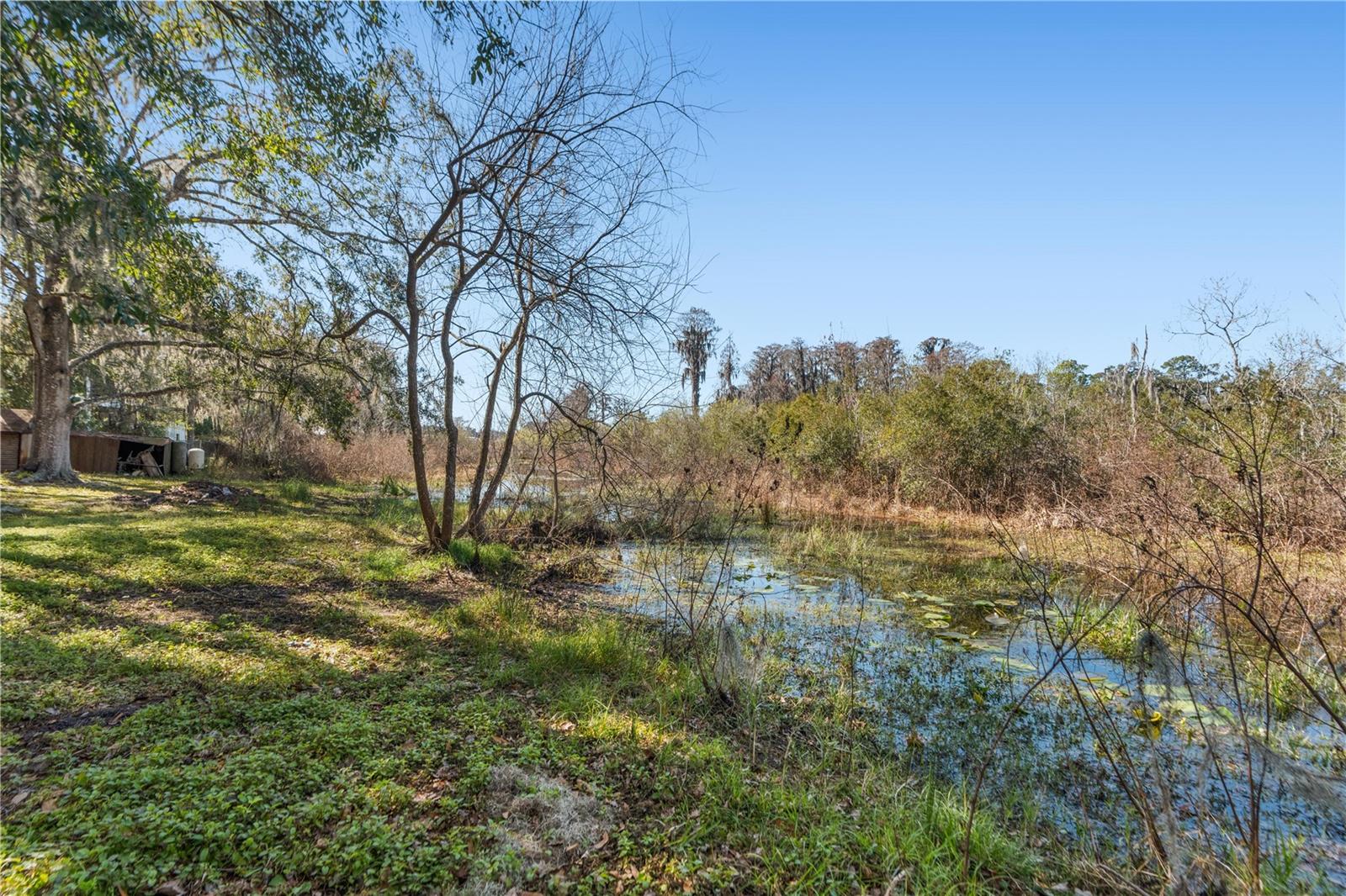 Listing photo id 6 for 8811 Marigold Drive